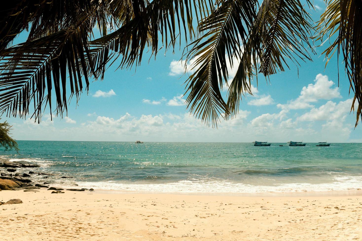 Tropical coconut leaf palm tree on the beach with sun light on blue sky sea and ocean cloud and tourist boat background - Summer vacation sea and nature travel adventure photo