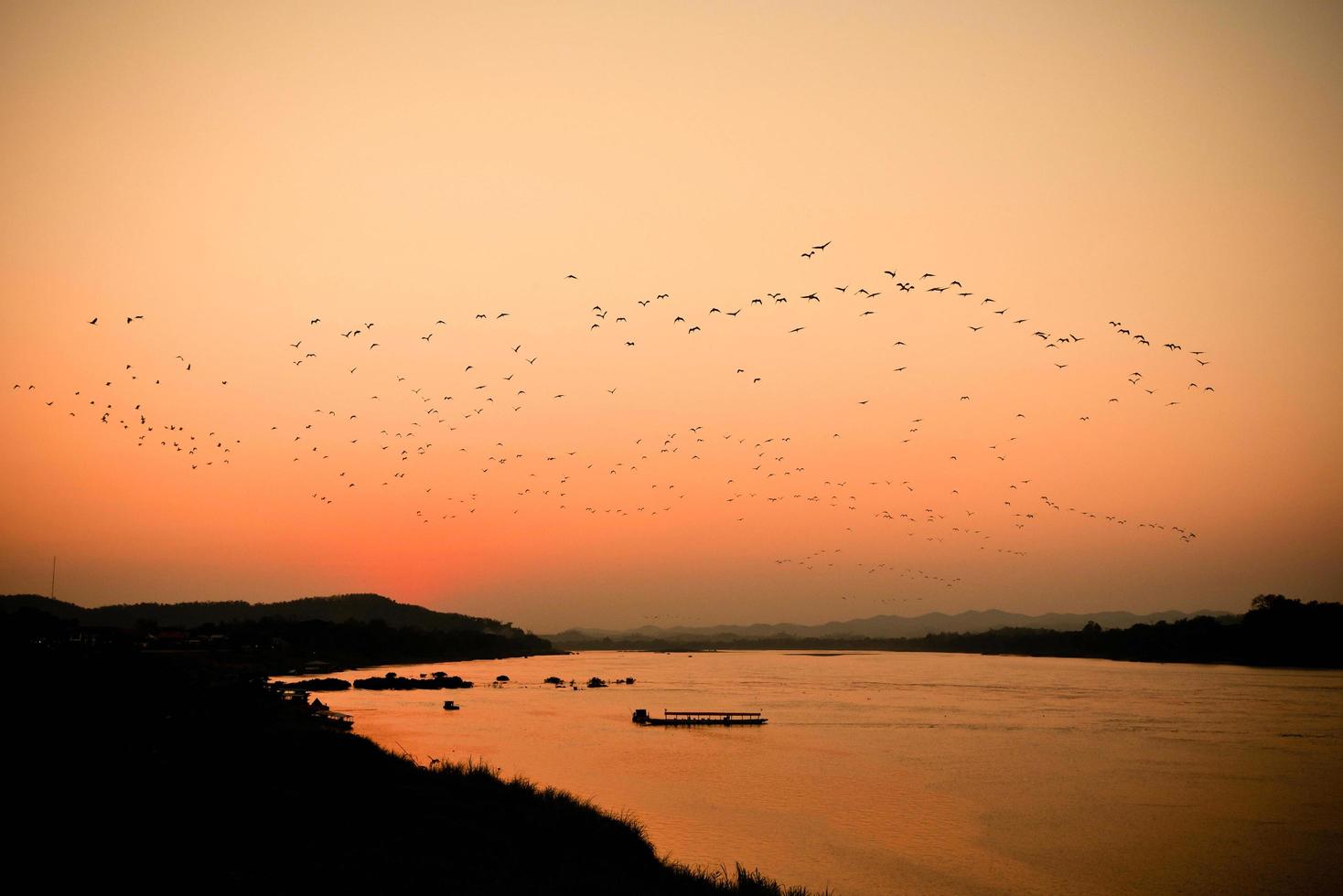 silueta atardecer río noche con bandada de pájaros volando sobre el lago cielo naranja foto