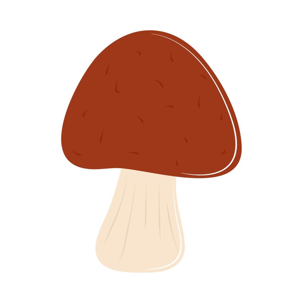 mushroom vegetarian food vector