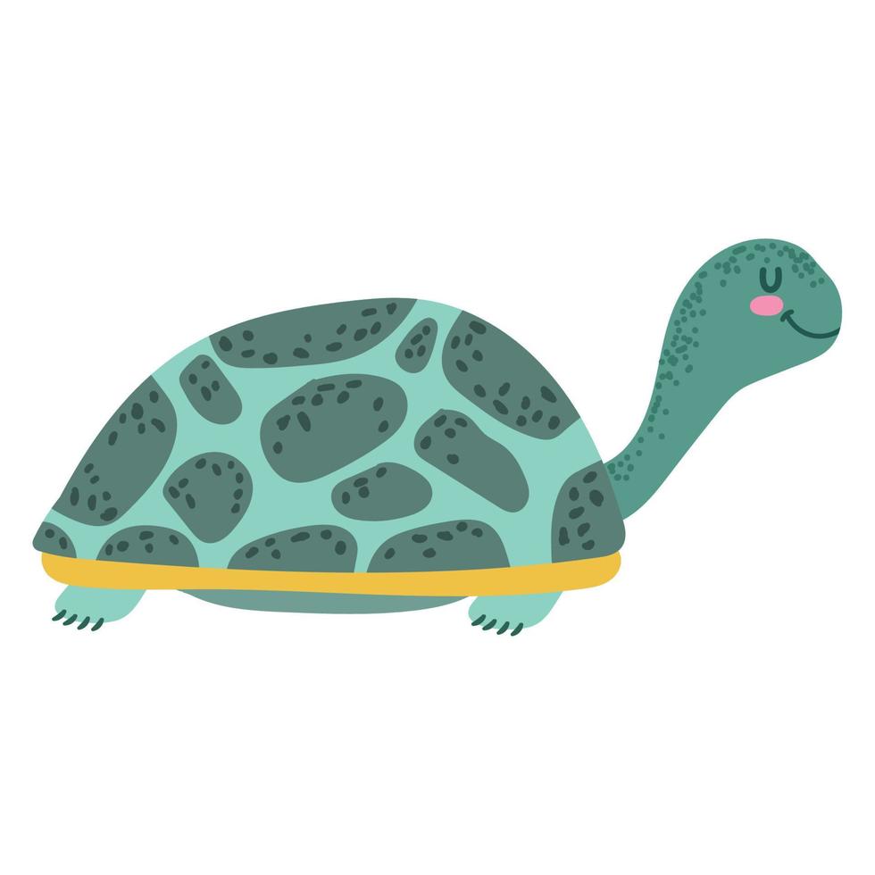 vida marina tortuga vector