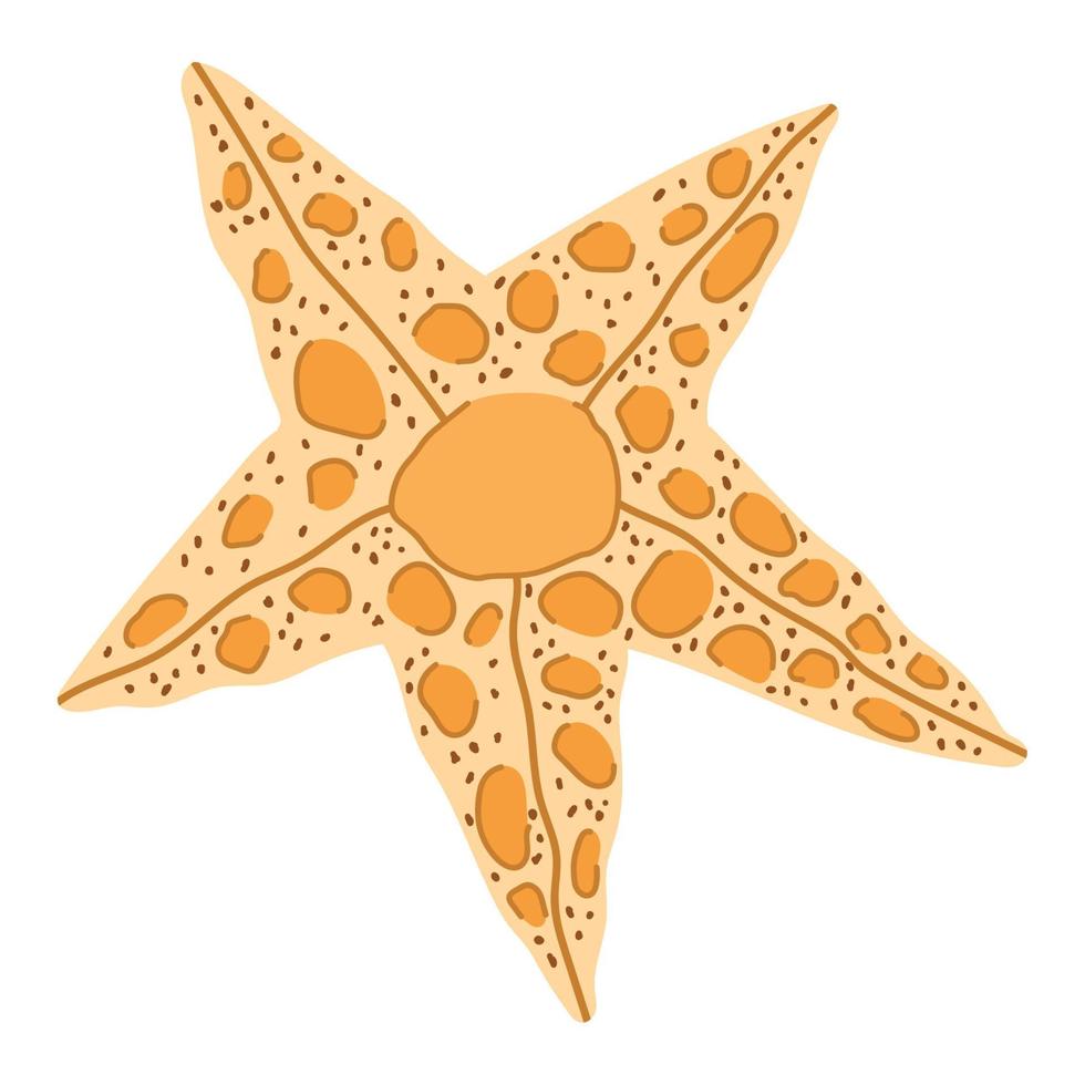 starfish sea life vector