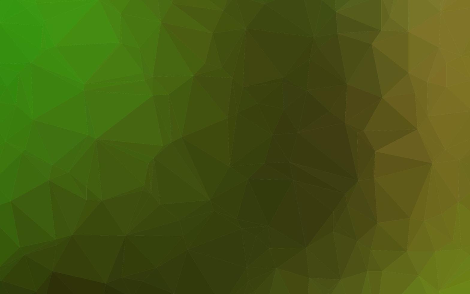 Light Green vector blurry triangle template.