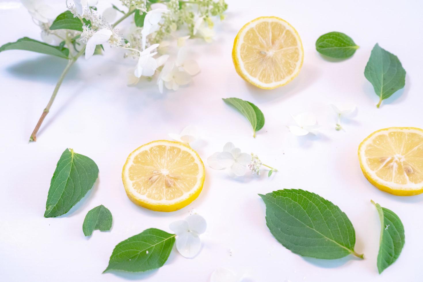 Creative layout made of lemon and leaves. Flat lay. Food concept. Lemon on white background photo