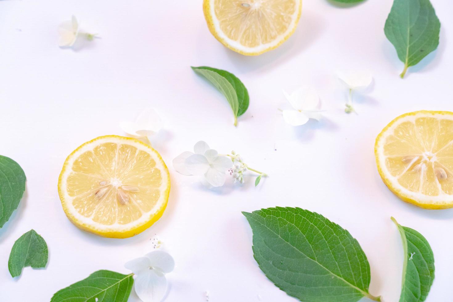 Creative layout made of lemon and leaves. Flat lay. Food concept. Lemon on white background photo