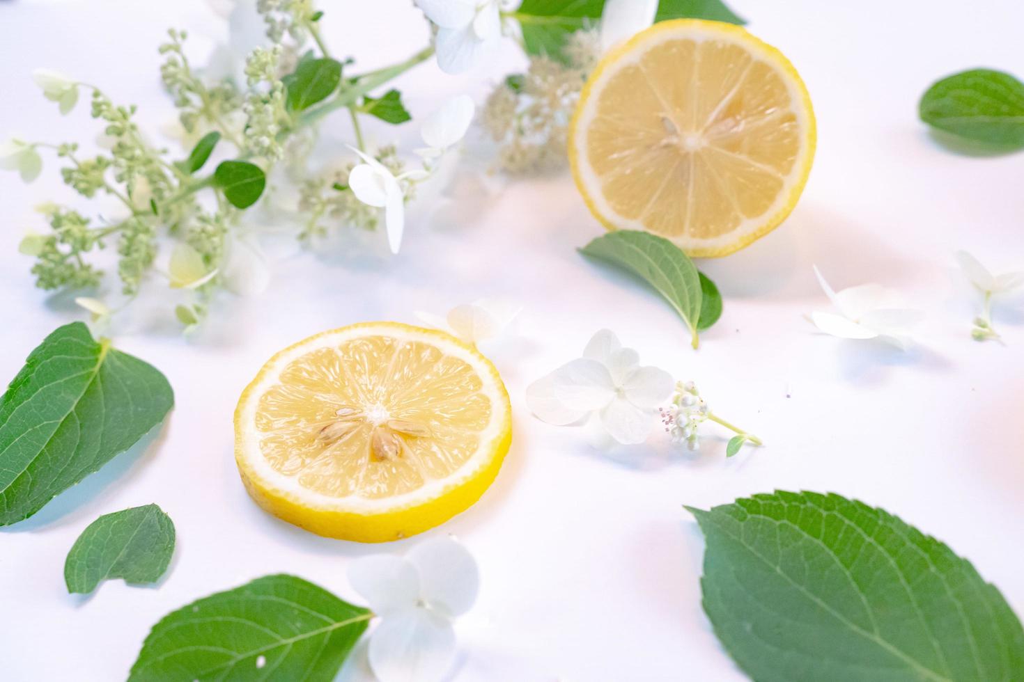 Creative layout made of lemon and leaves. Flat lay. Food concept. Lemon on white background photo
