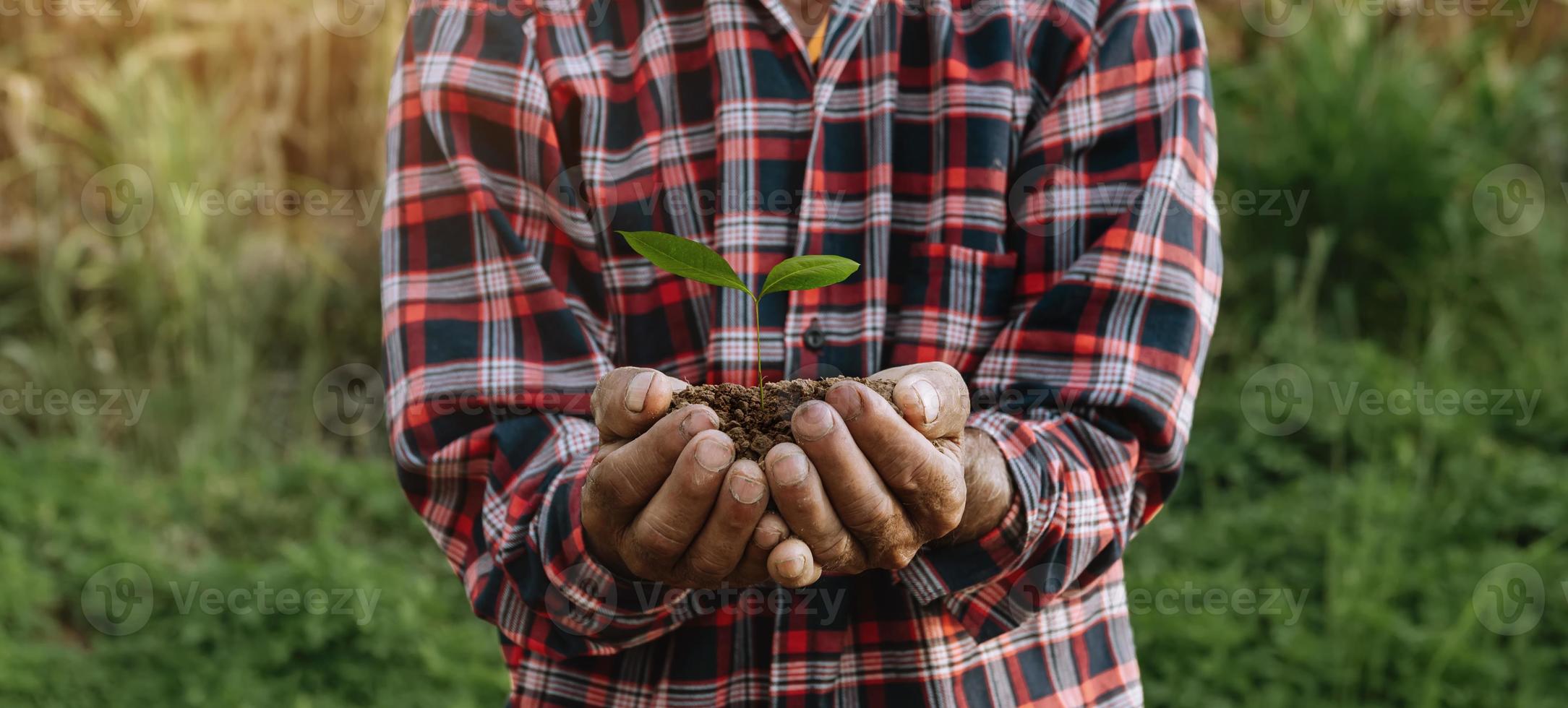 Oldmans hands grabbing earth with a plant.The concept of farming and business growth. photo