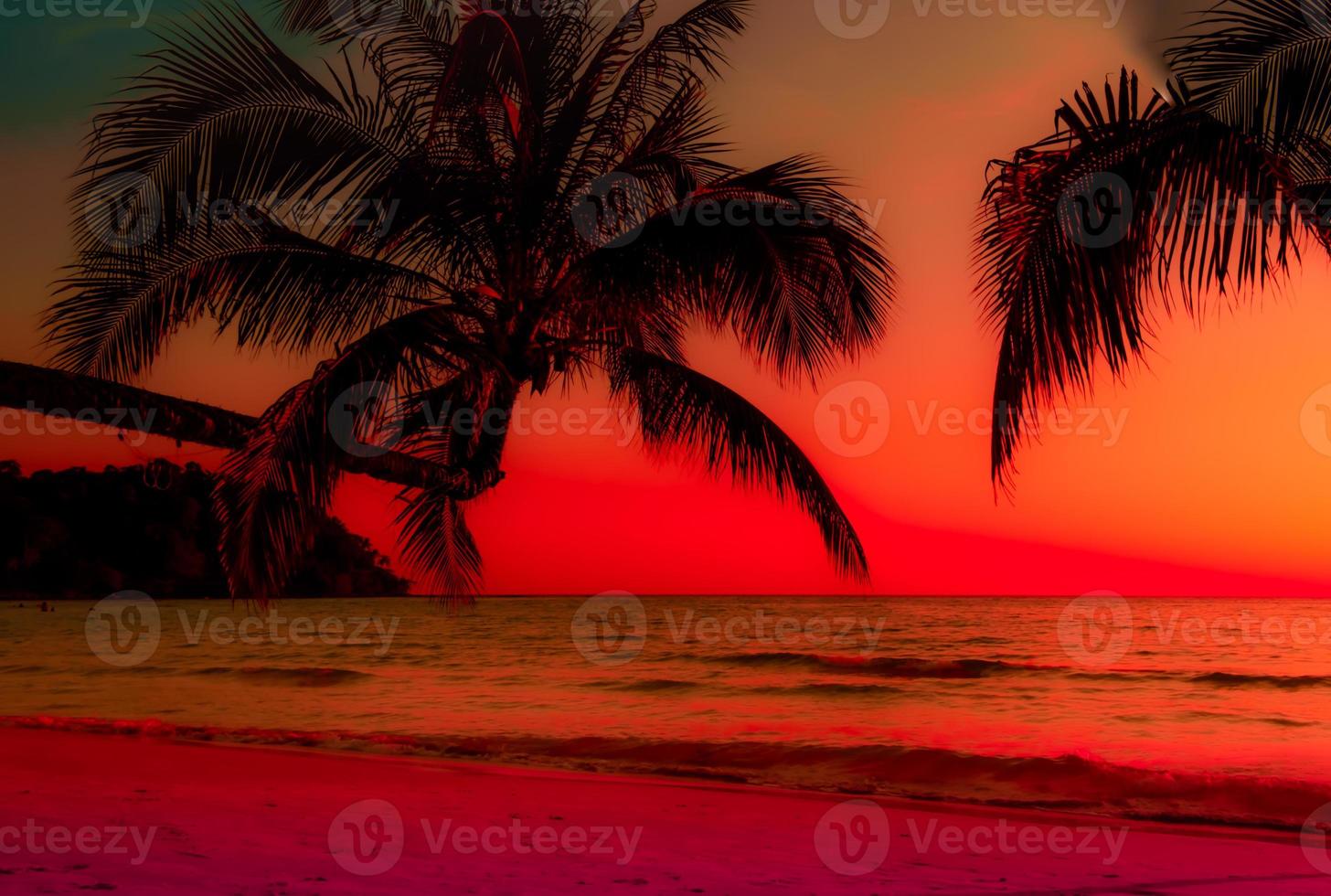silueta de palmera en la playa durante la puesta de sol de una hermosa playa tropical sobre fondo naranja del cielo foto