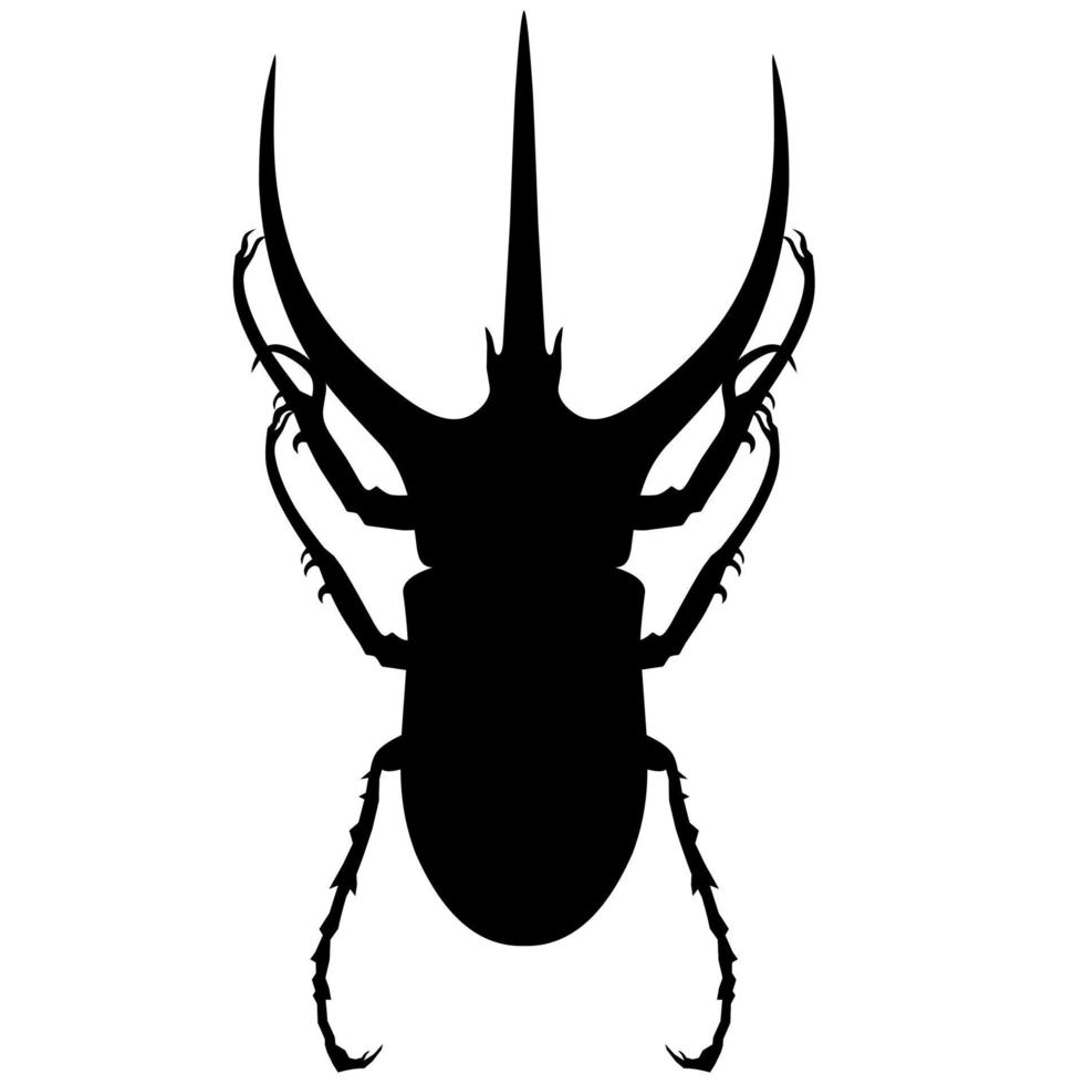Vector silhouette of a great horn beetle or megasoma actaeo on a white background. The male insect is black.