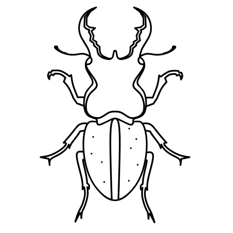 Pinching beetle. Line art on a white background. Great for introducing children to animals or for learning to color. Deer antler beetle. Vector illustration