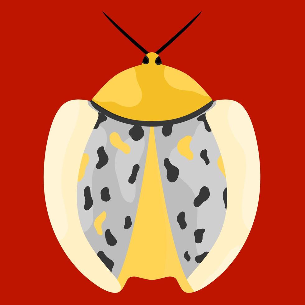 Koksi beetle vector illustration on red background. This insect belongs to the Coccinellidae family. They are round in shape, have color and spots on the back.