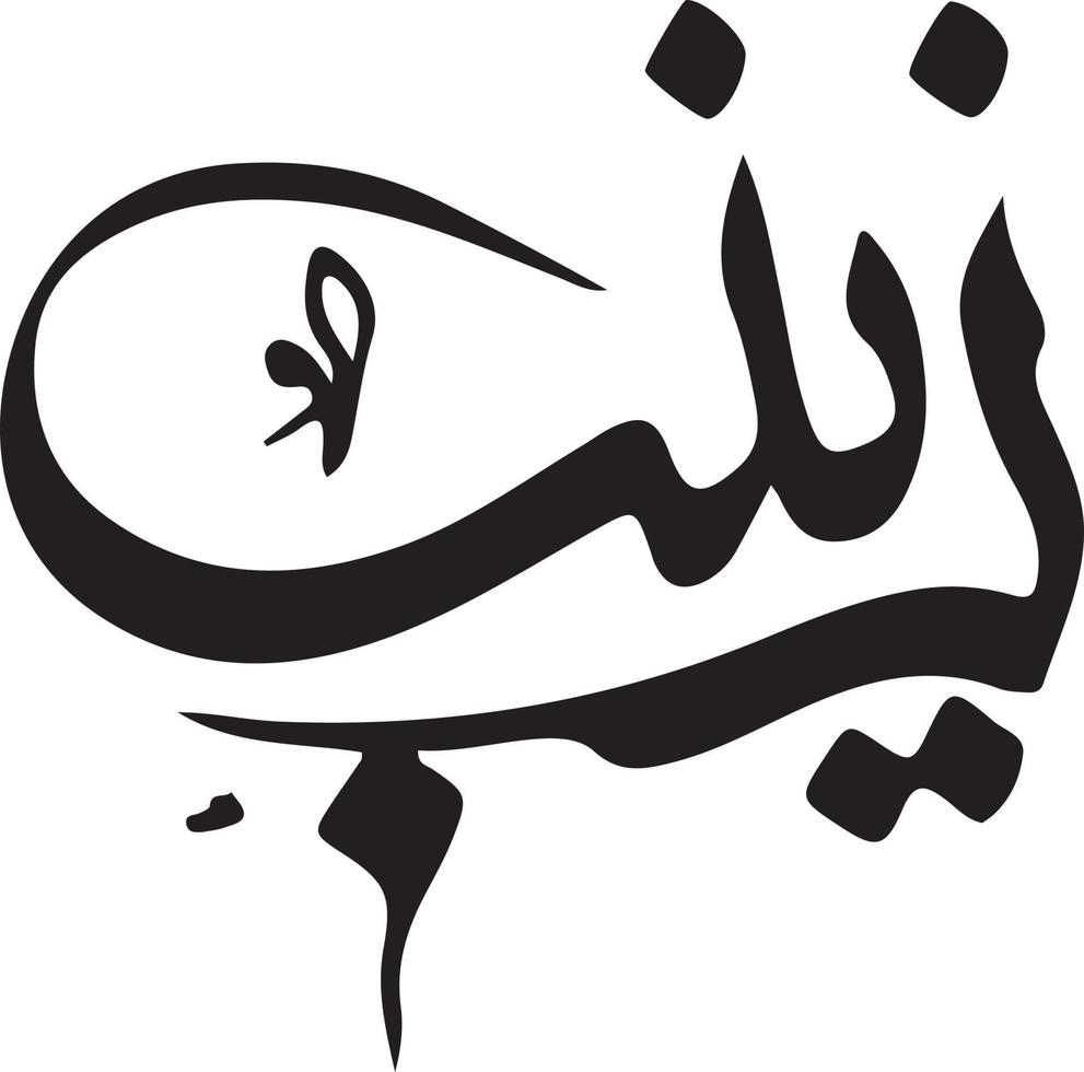 Zenab Islamic Urdu calligraphy Free Vector