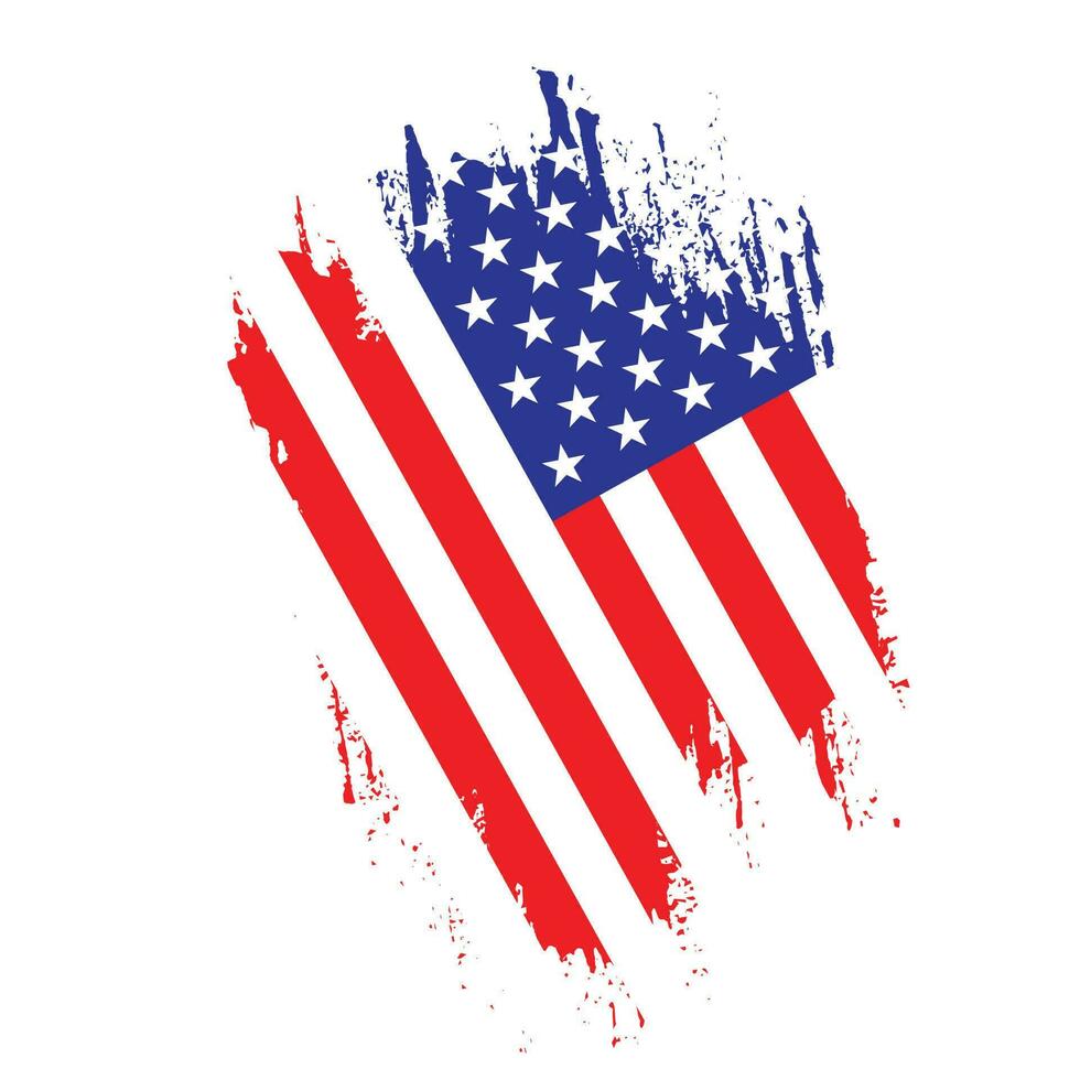 Professional American texture flag vector