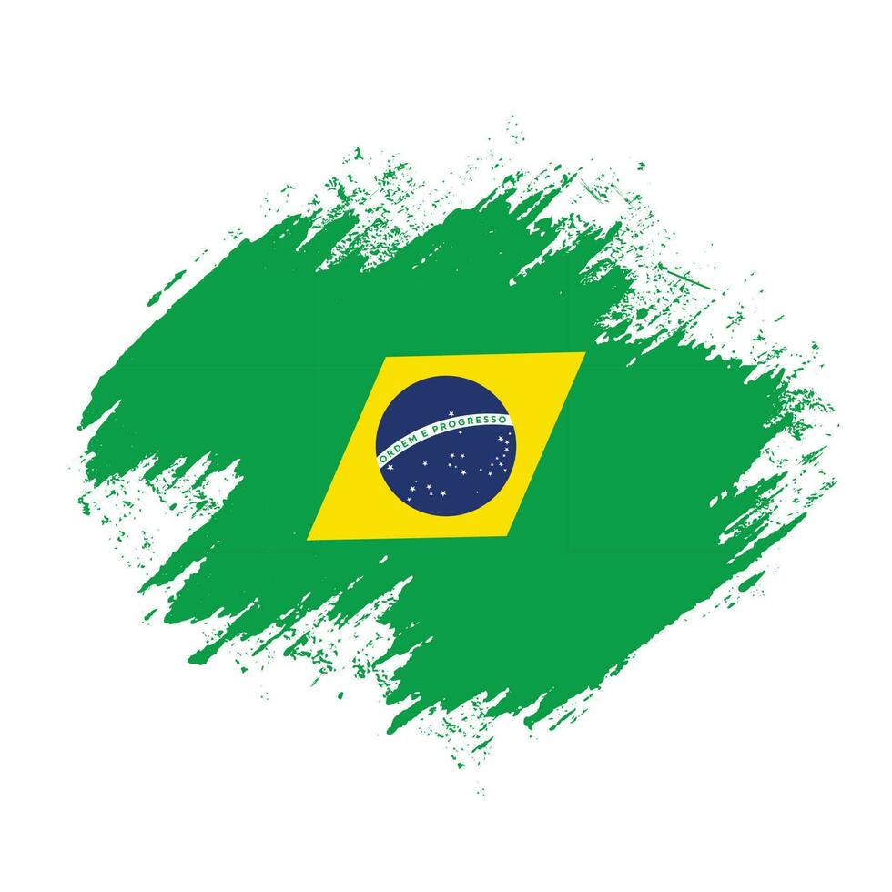 Professional Brazil texture flag vector
