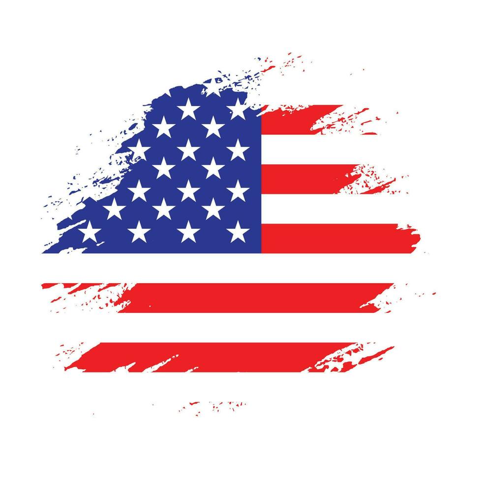 Professional American texture flag vector