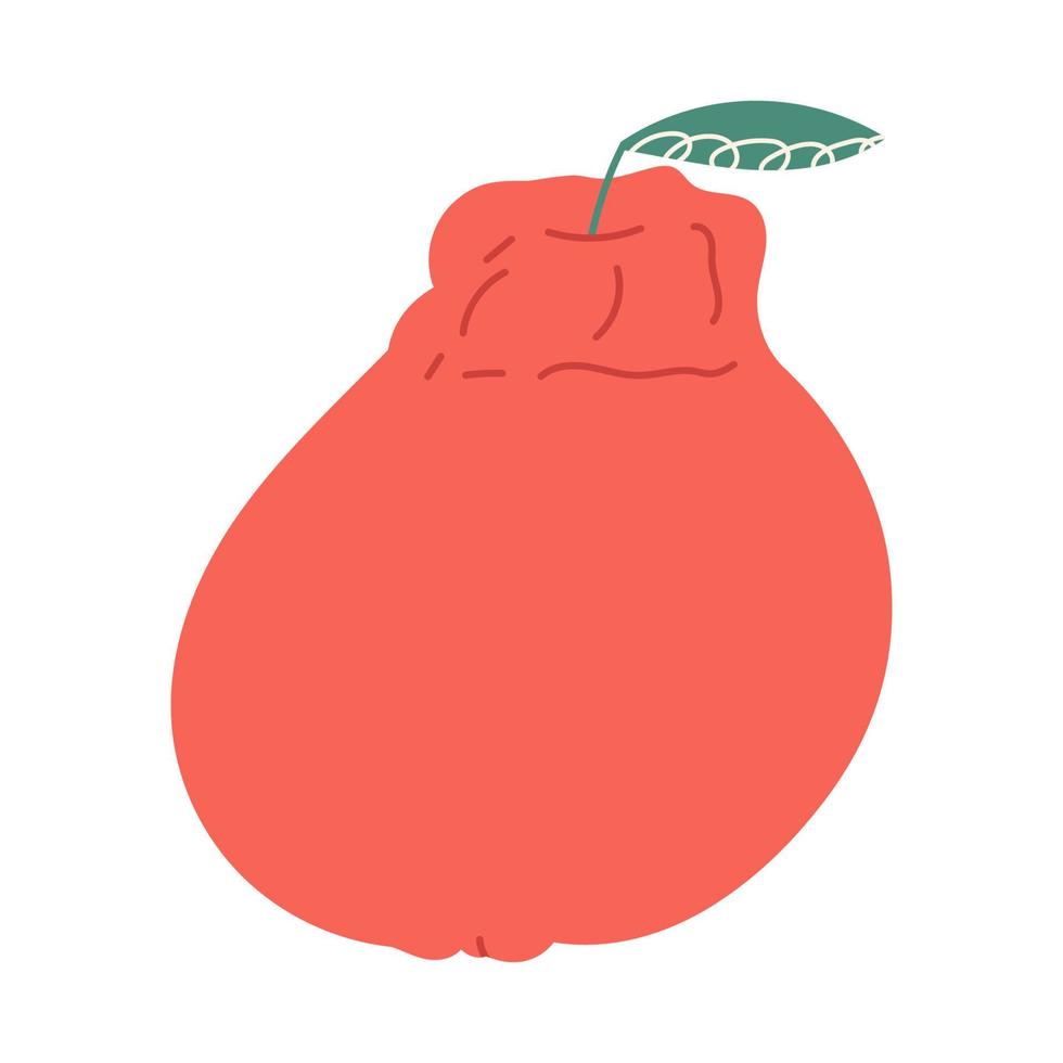 Tangerine or dekopon fruit, hand drawn cartoon flat vector illustration isolated on white background. Delicious citrus fruit drawing. landmark of Korean Jeju island.