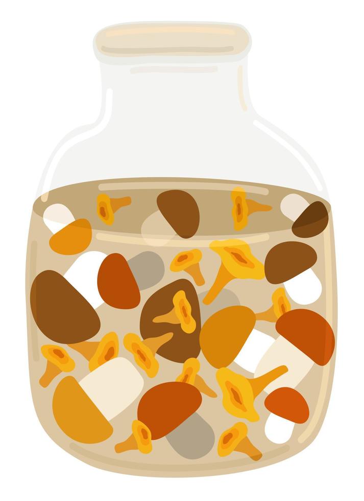 Pickled mushrooms in a glass jar. Vector isolated illustration.