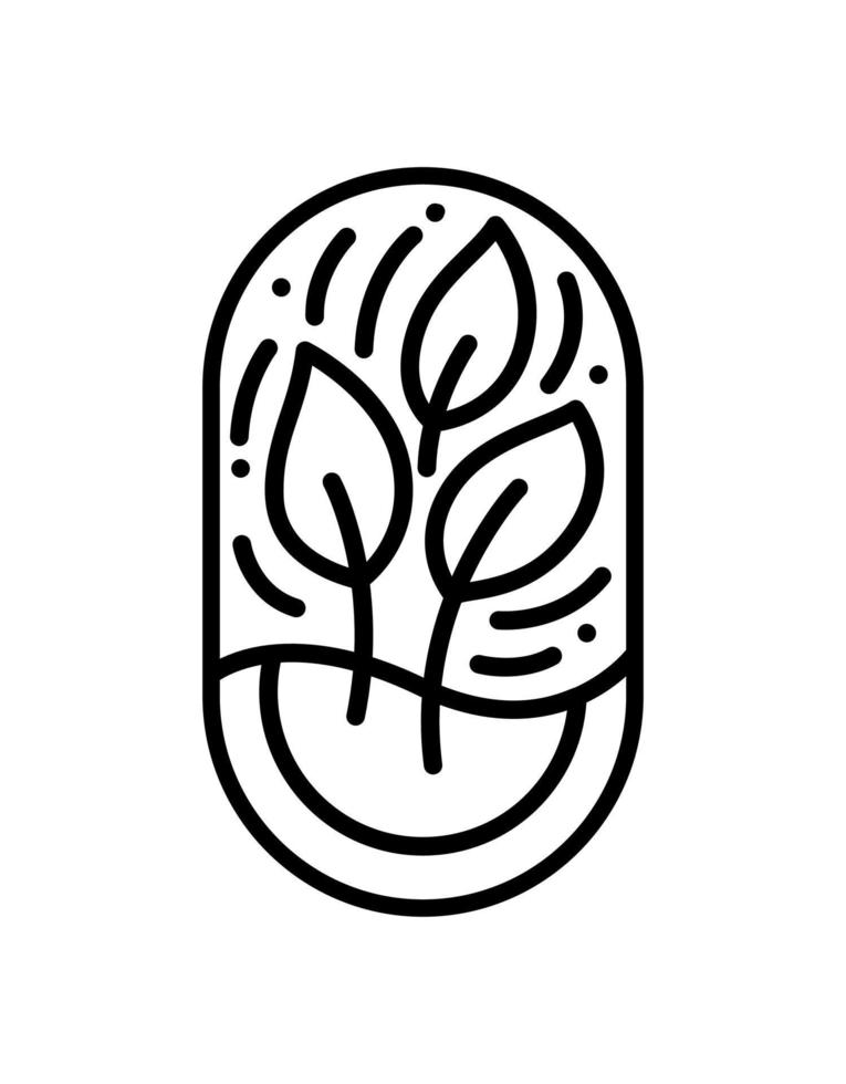 té vectorial o hojas de árbol para café o etiqueta de producto agrícola logotipo ecológico diseño de planta orgánica. estilo lineal de emblema redondo. icono abstracto vintage para el diseño de productos naturales cosméticos, conceptos ecológicos vector