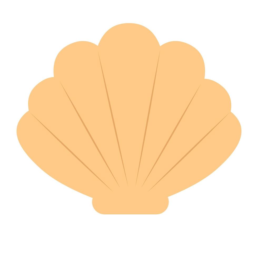 isolated seashell on a white background vector