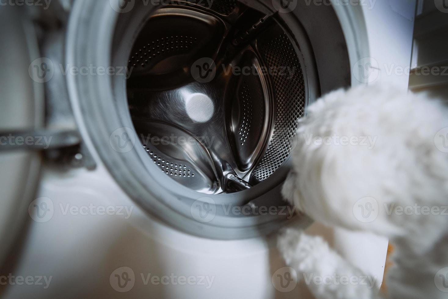 Cute little white dog looking in to washing machine. photo