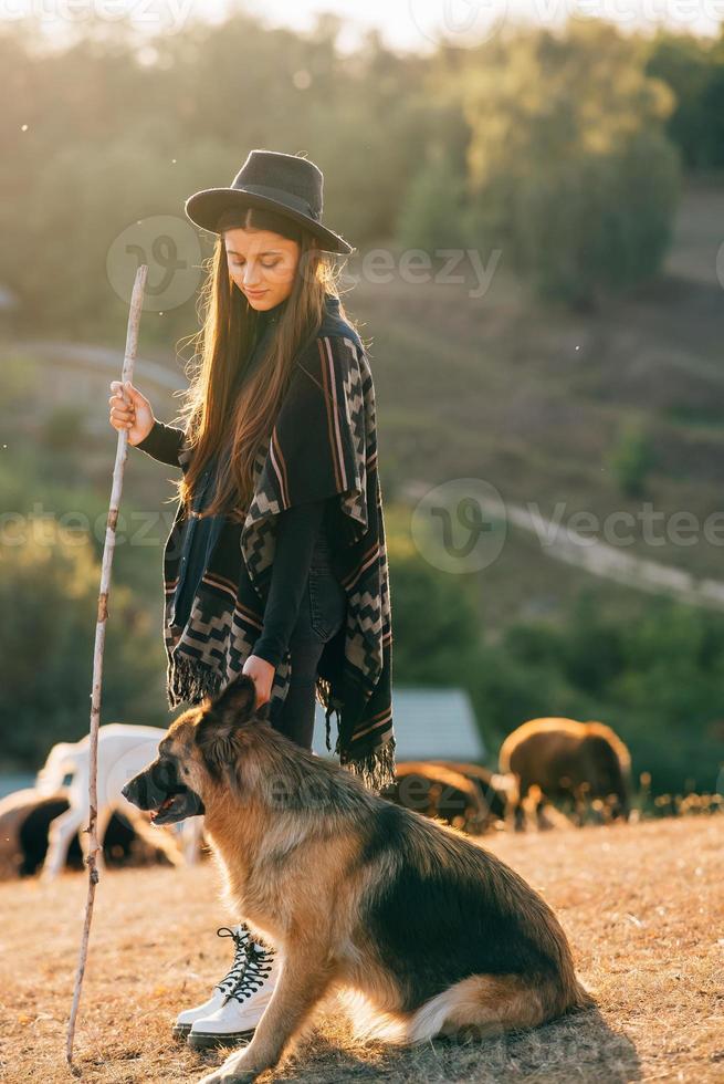 Female shepherd with a dog grazes a flock on the lawn photo