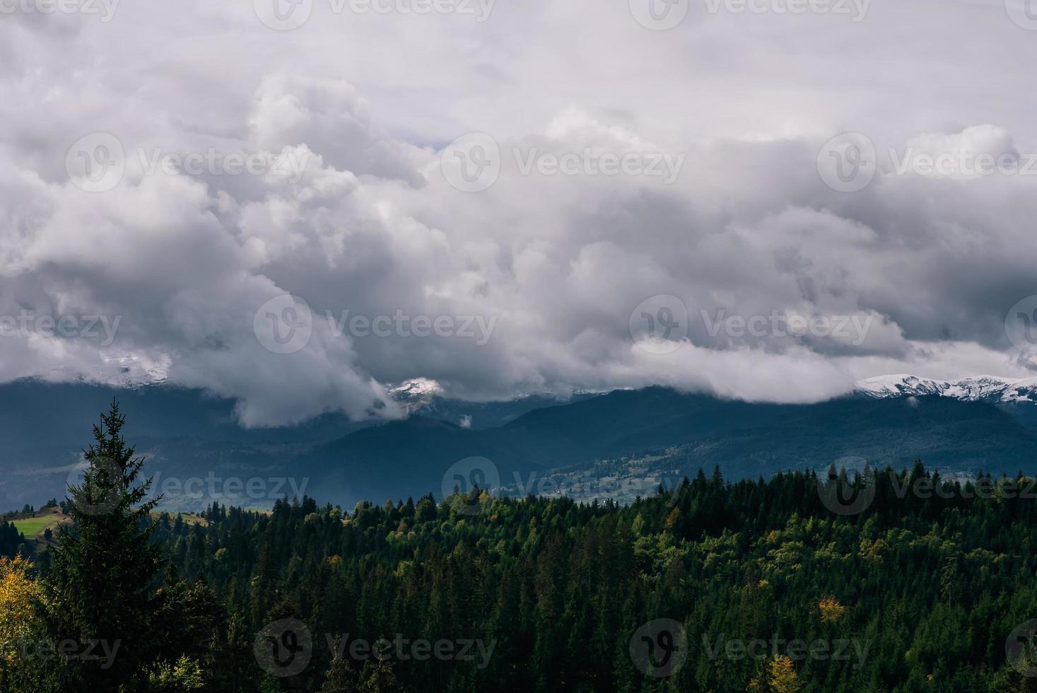 Coniferous Forest and Mountains Landscape Travel serene scenery photo