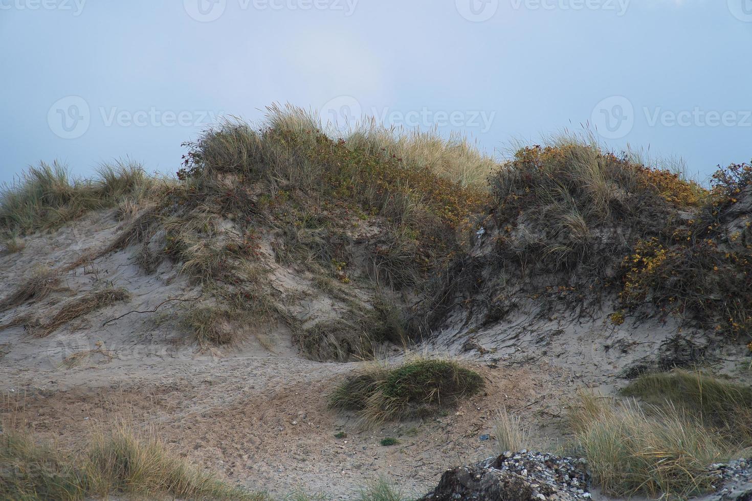 Dunne on the beach with grass and sand in Denmark. Hiking on vacation on the coast photo