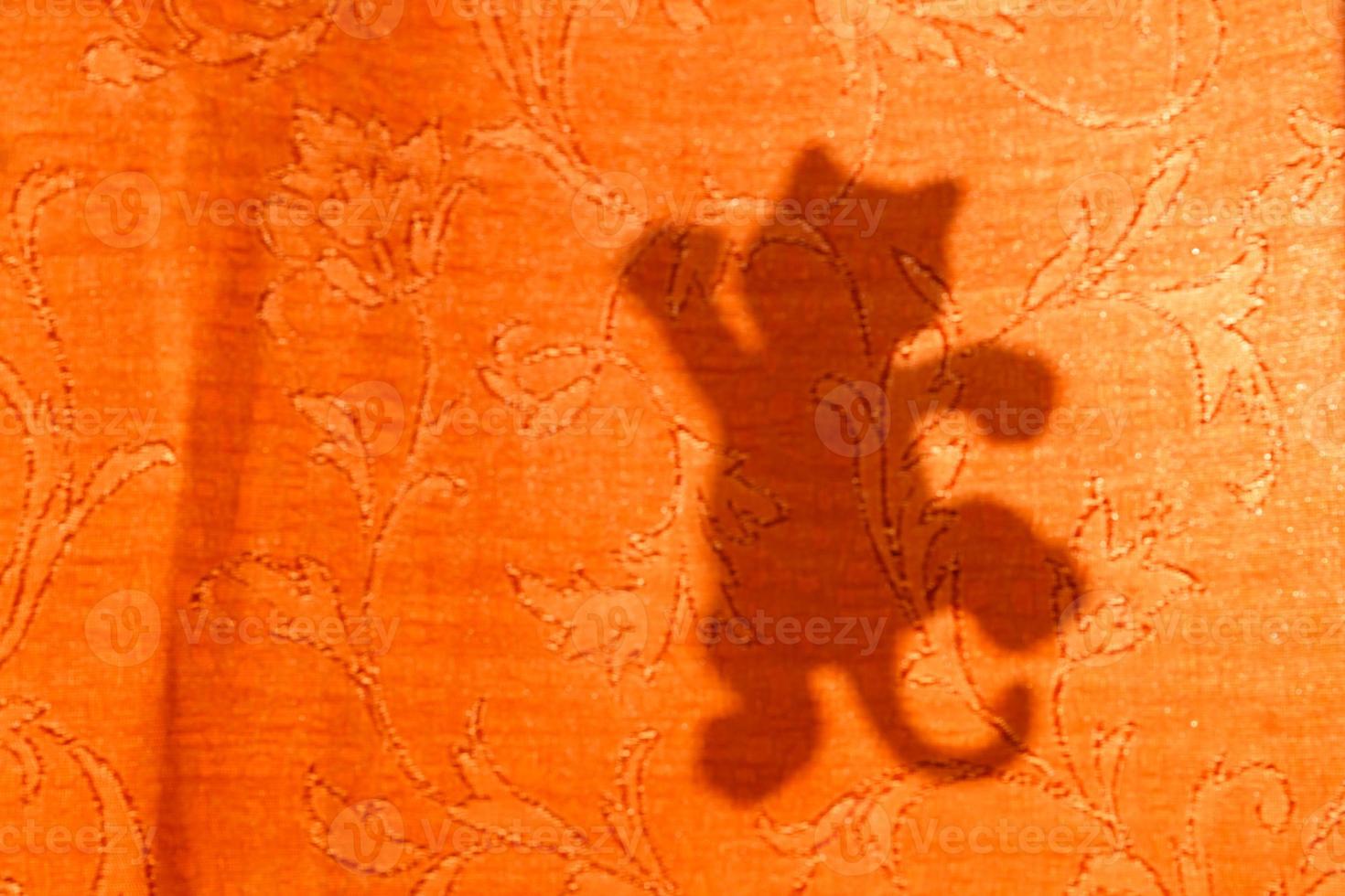 cat silhouette from sunlight on curtain, blurred background photo