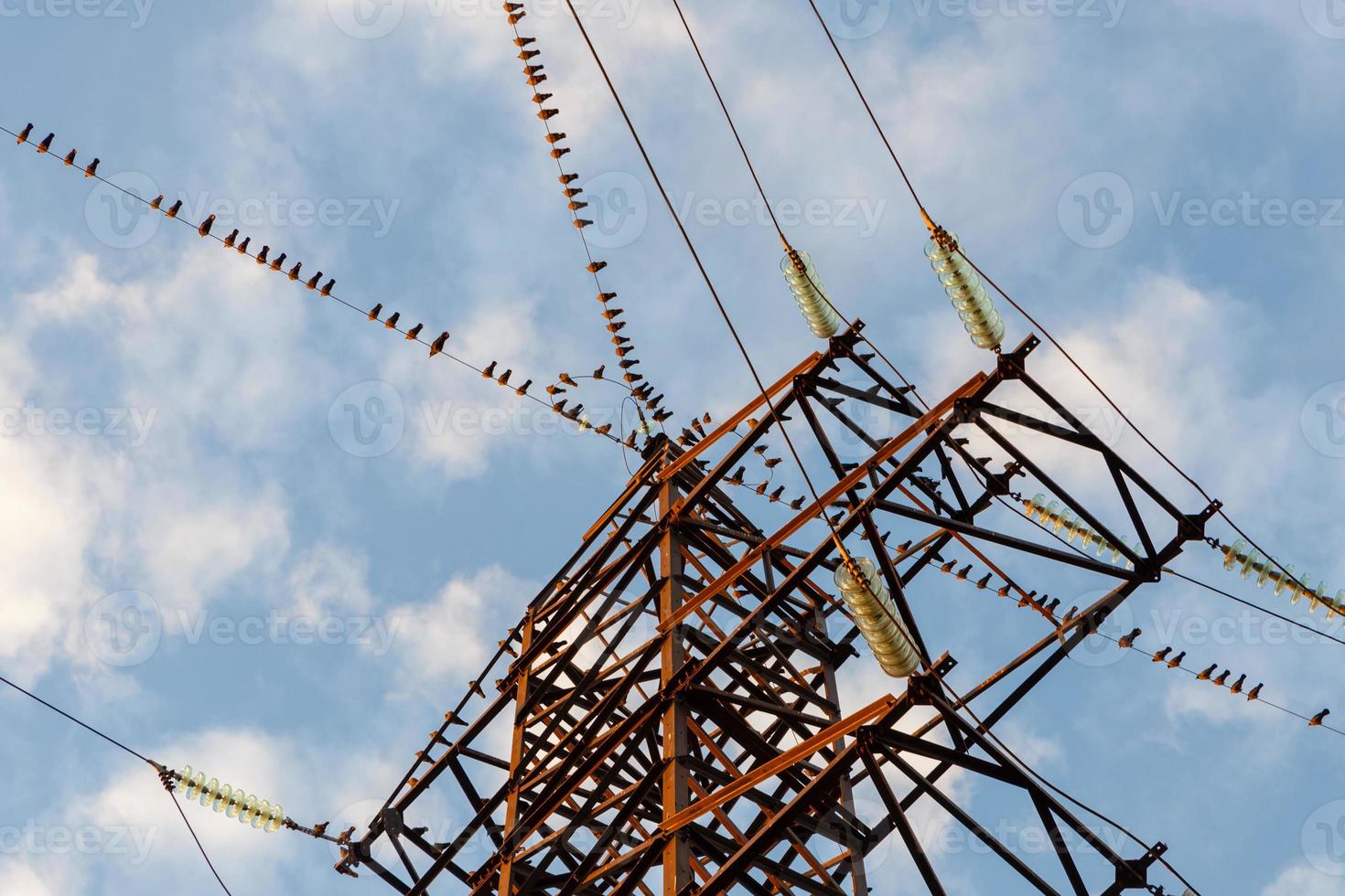 A large group of birds sitting on the power line wires. photo