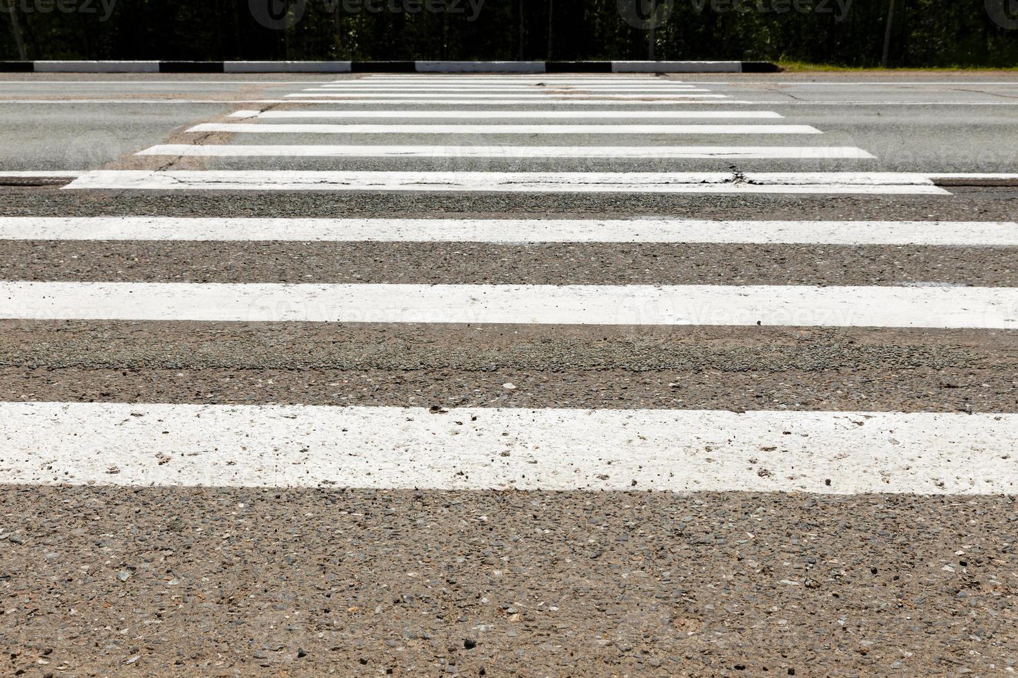 white stripes of a pedestrian crossing across the road. photo