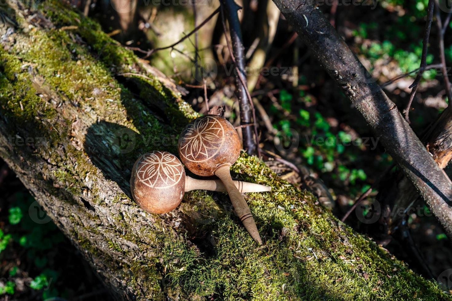 Cuban maracas lie on an old tree with moss. Traditional musical instrument made of natural materials photo