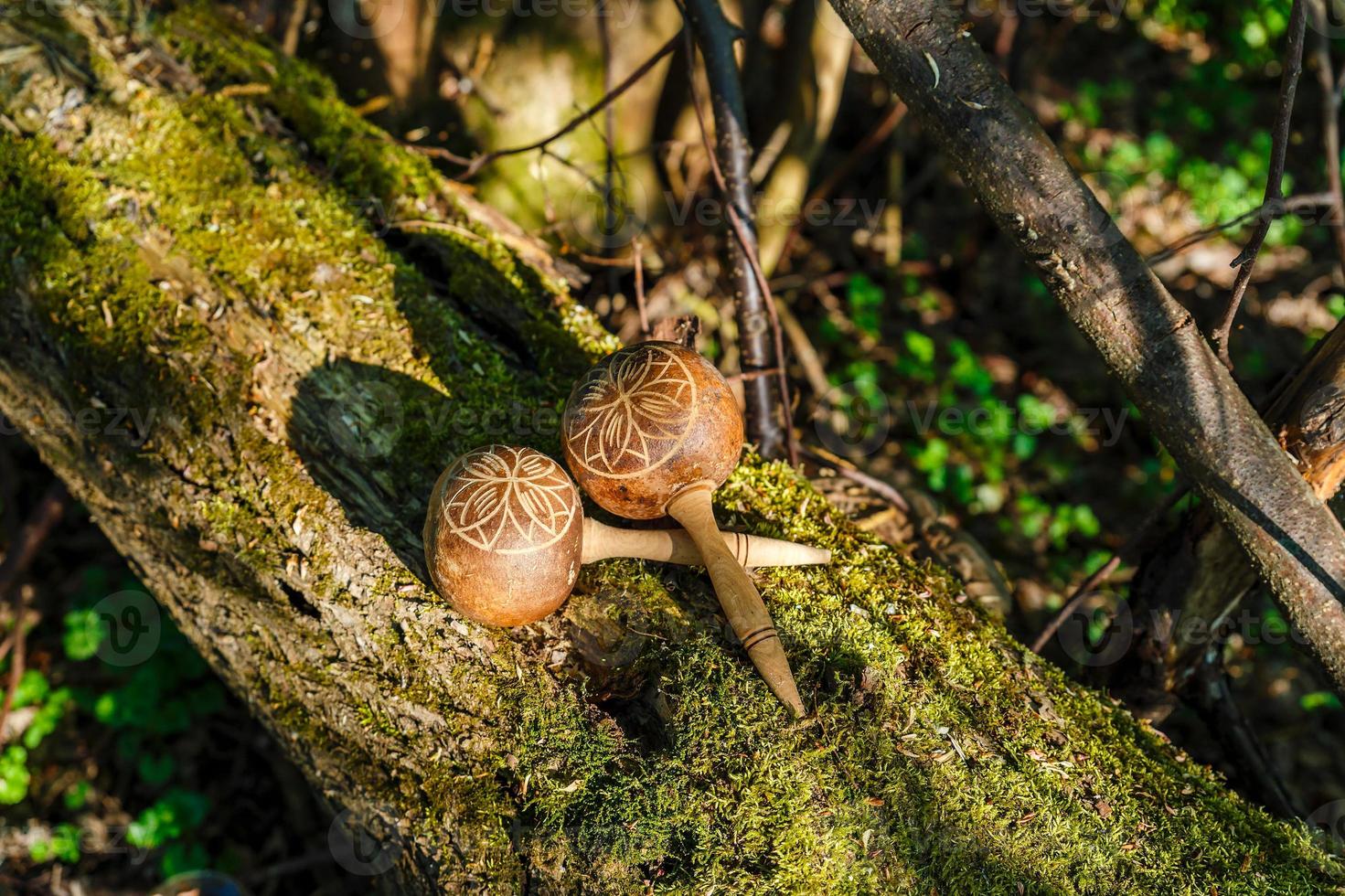 Cuban maracas lie on an old tree with moss. Traditional musical instrument made of natural materials. photo