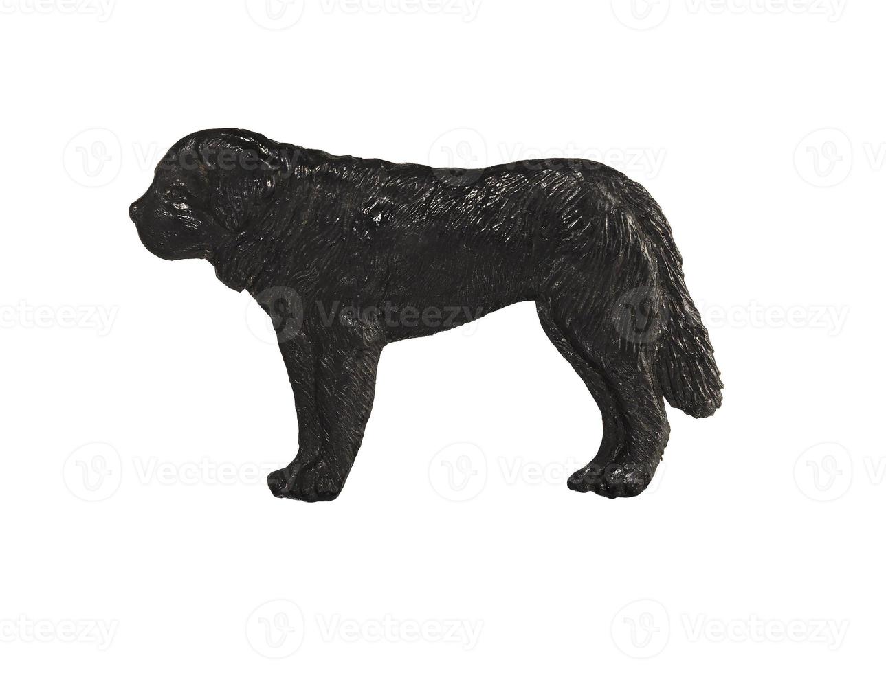 Black dog figure on white background, St Bernard photo