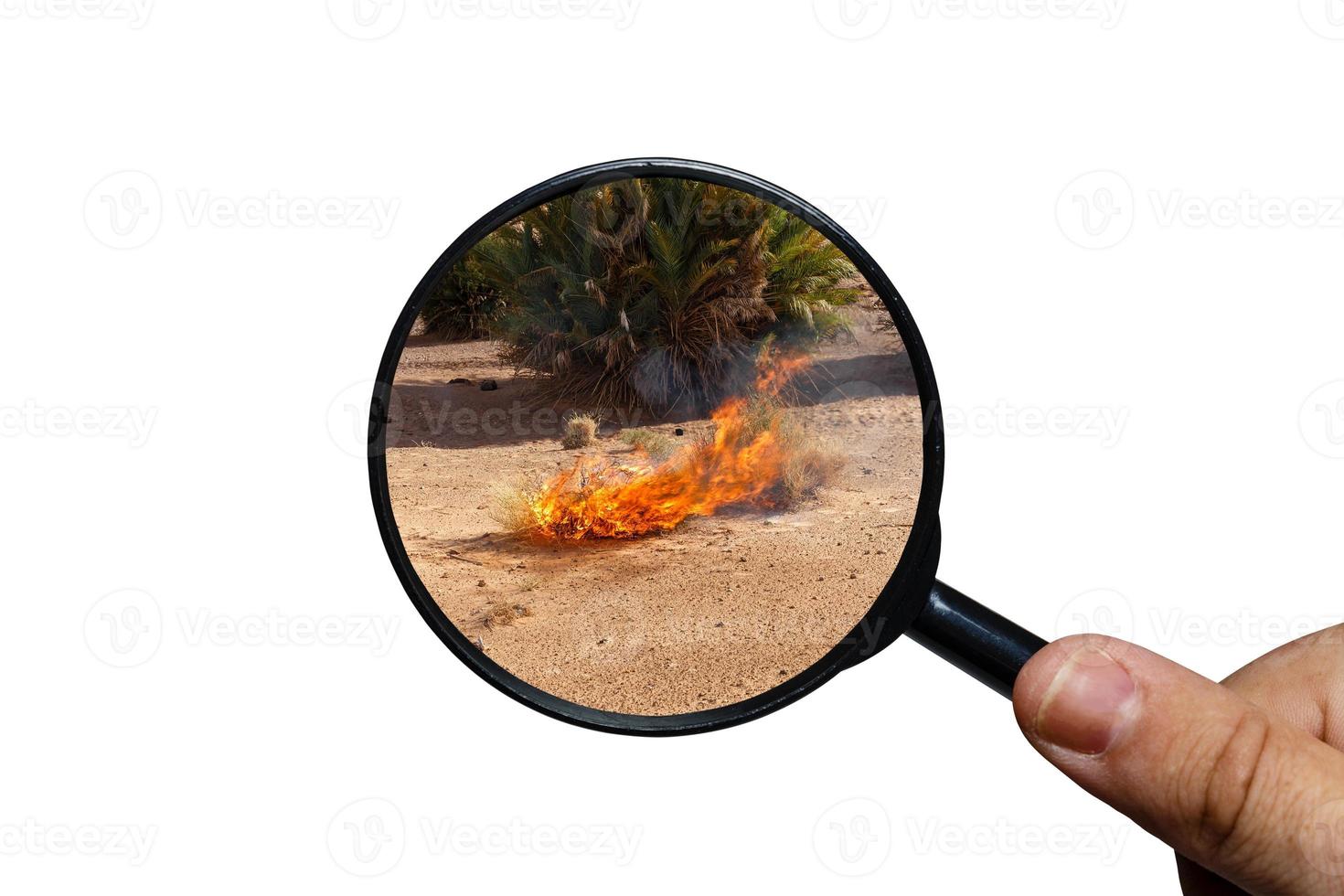 dry burning grass in the Sahara desert, view through a magnifying glass on a white background, magnifying glass in hand photo