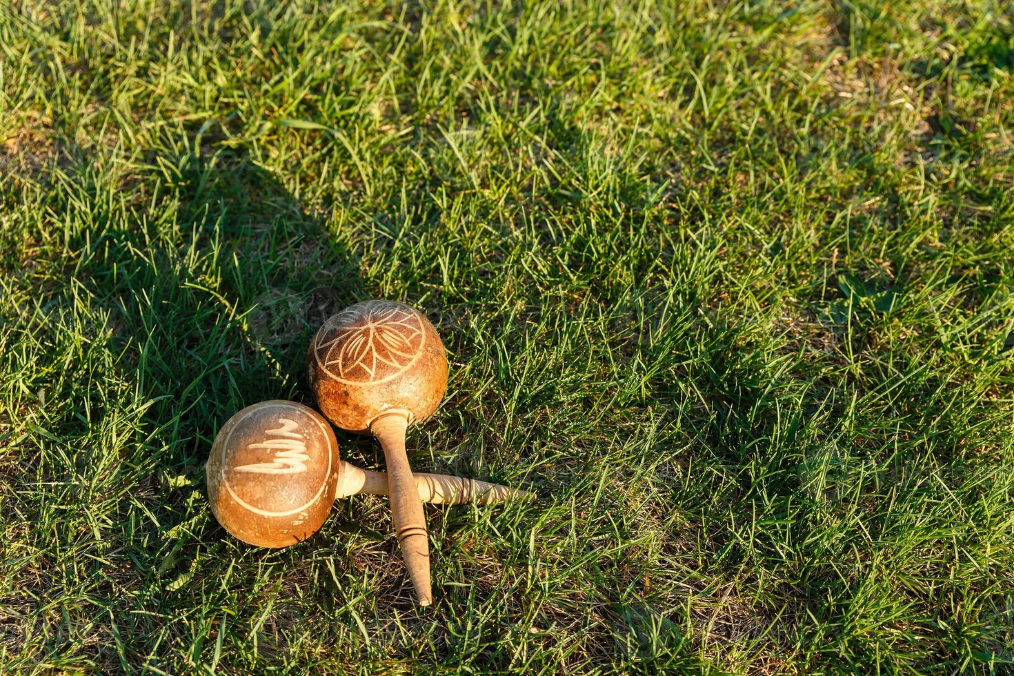 Cuban maracas lie on the green grass. photo