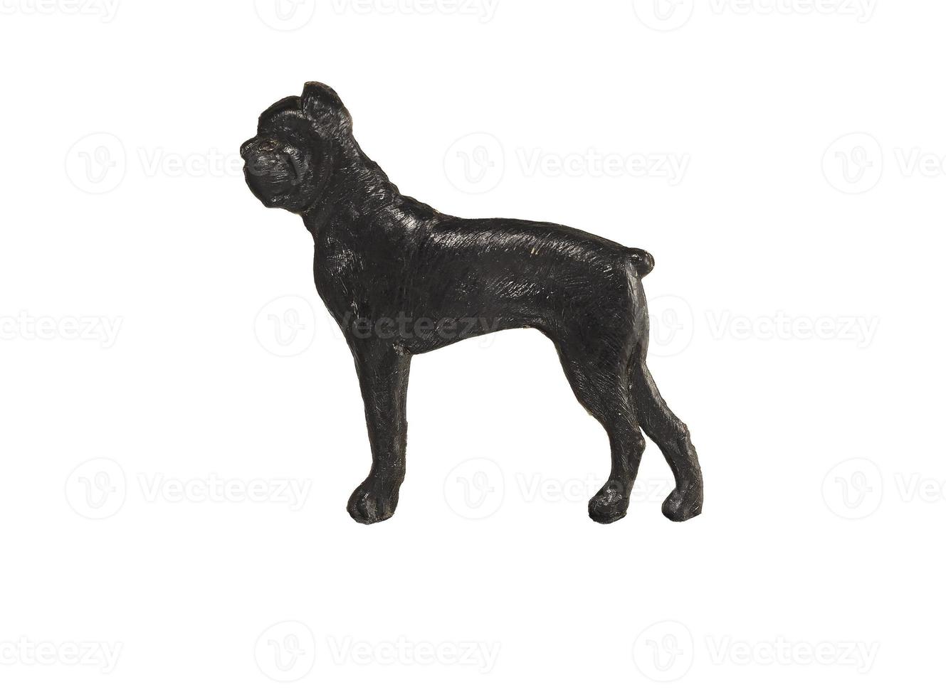 Black dog figure on white background, Boxer photo