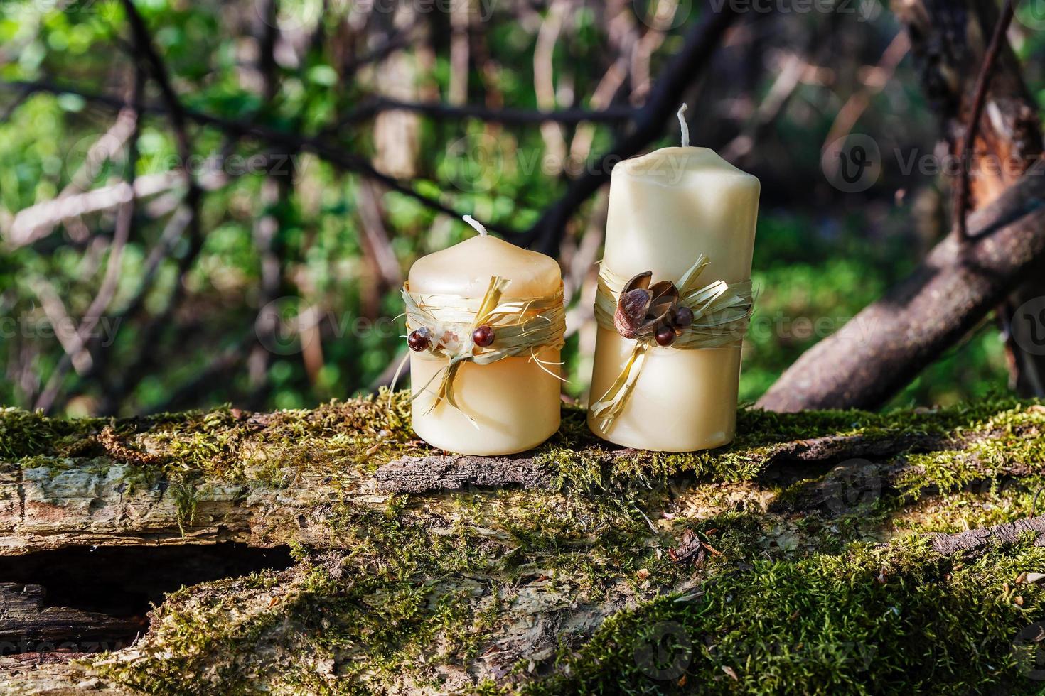 two wax candles on an old log in the forest photo