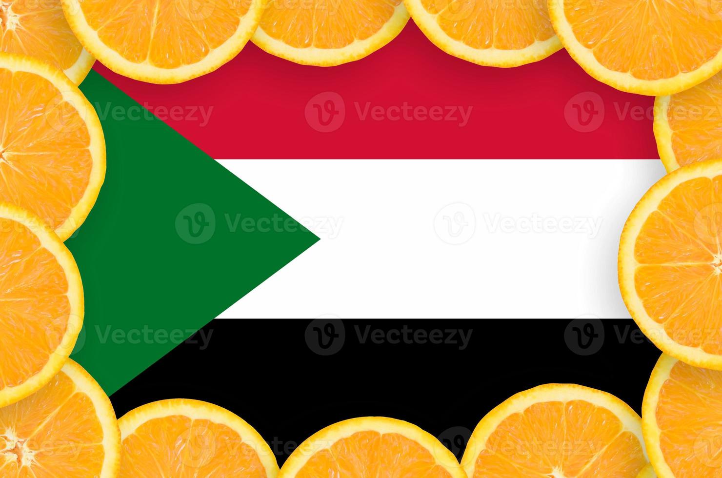 Sudan flag  in fresh citrus fruit slices frame photo