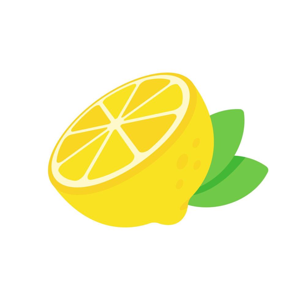 sour yellow lemon For cooking and lemon juice vector