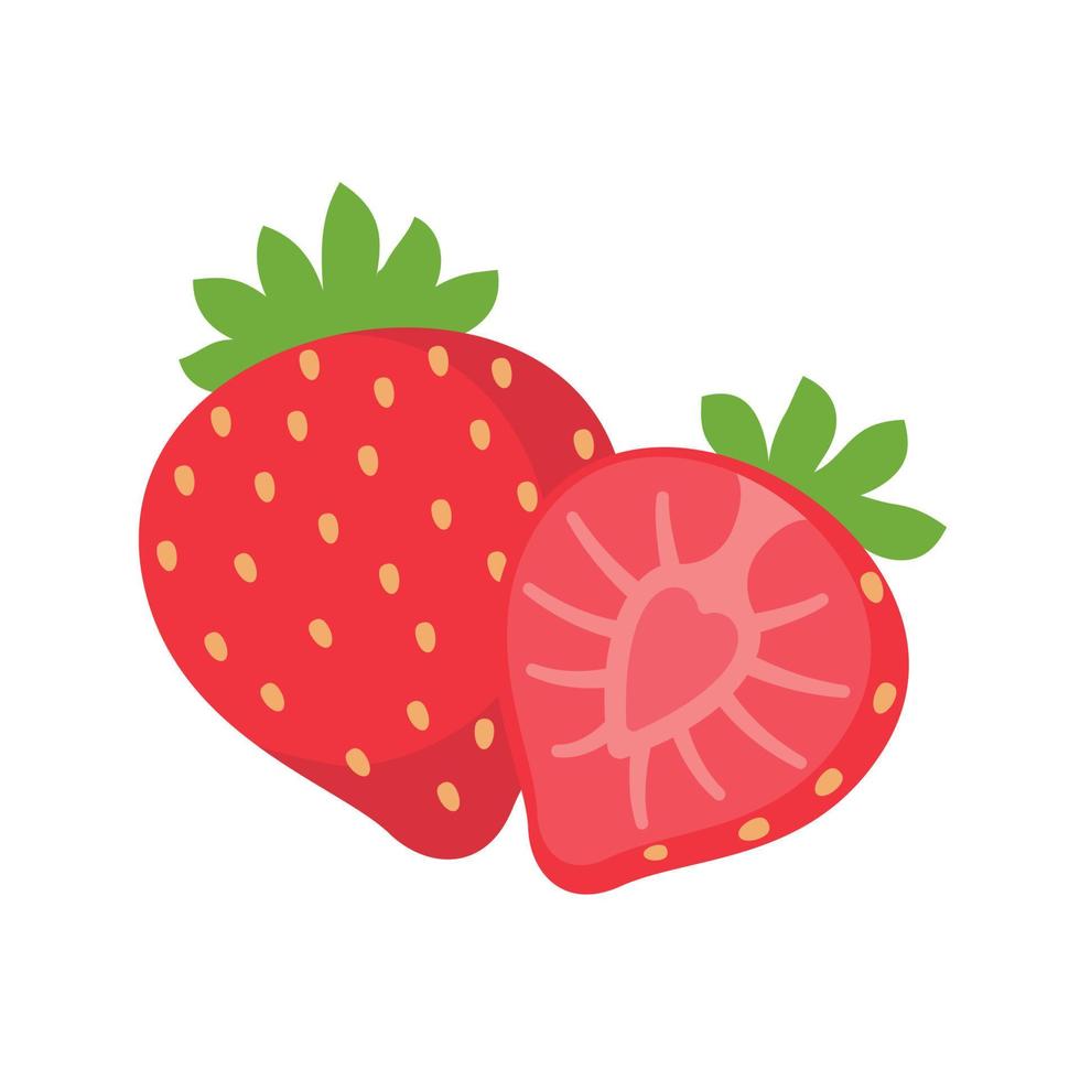 Strawberry vector. Sweet red fruit cut in half for a refreshing summer juice. vector