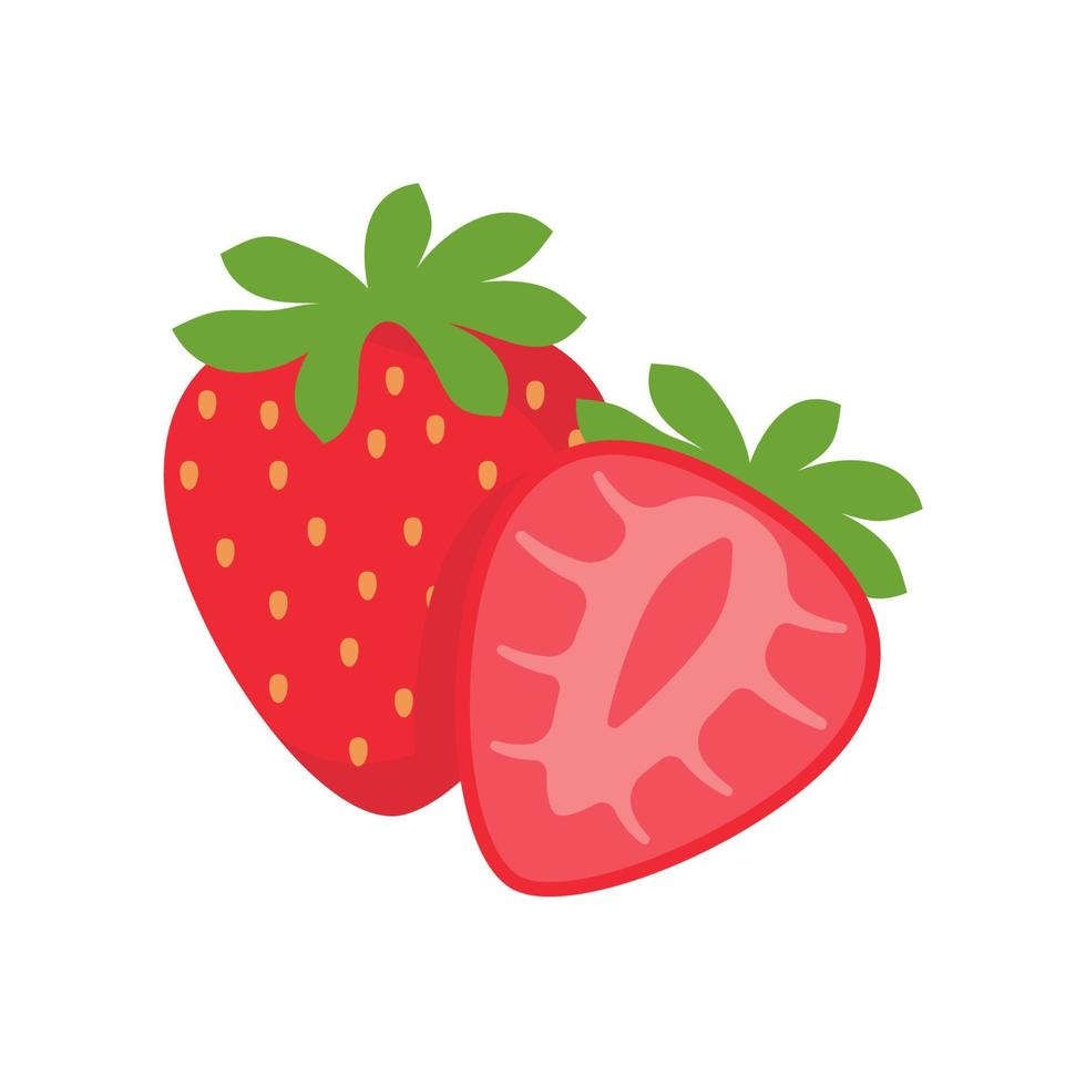 Strawberry vector. Sweet red fruit cut in half for a refreshing summer juice. vector