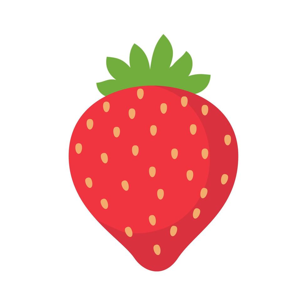 Strawberry vector. Sweet red fruit cut in half for a refreshing summer juice. vector
