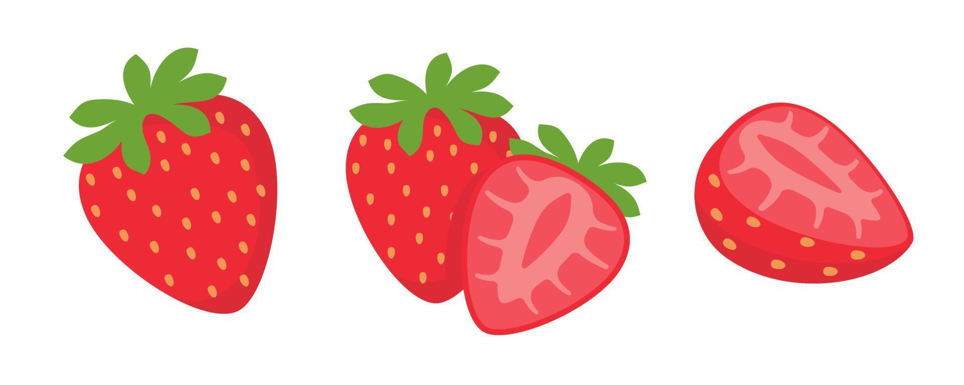 vector de fresa fruta roja dulce cortada por la mitad para un refrescante jugo de verano.