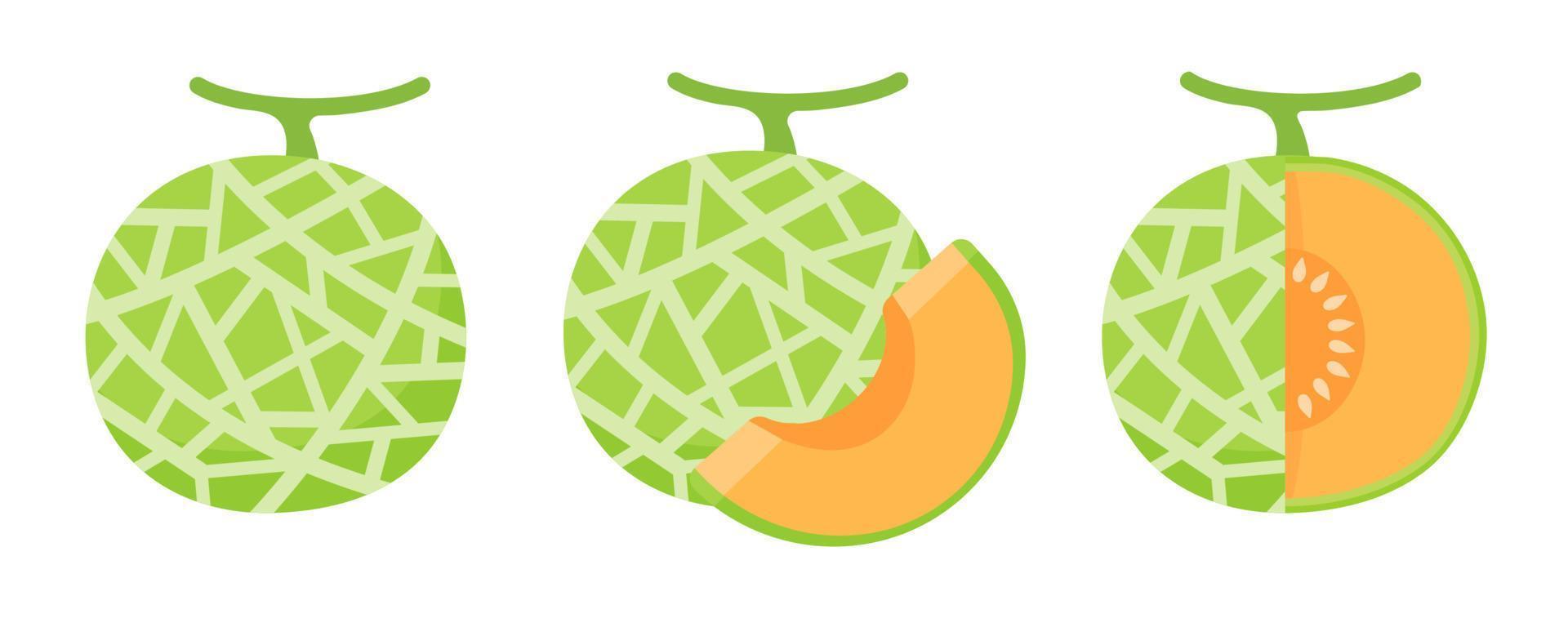 melón vectorial. jugosa fruta carnosa de color naranja. vector