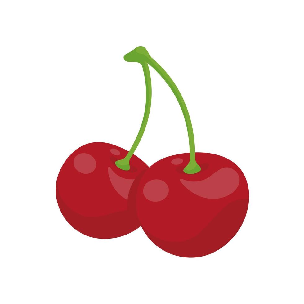 Vector shiny bright red cherries Citrus berries provide healthy vitamins.