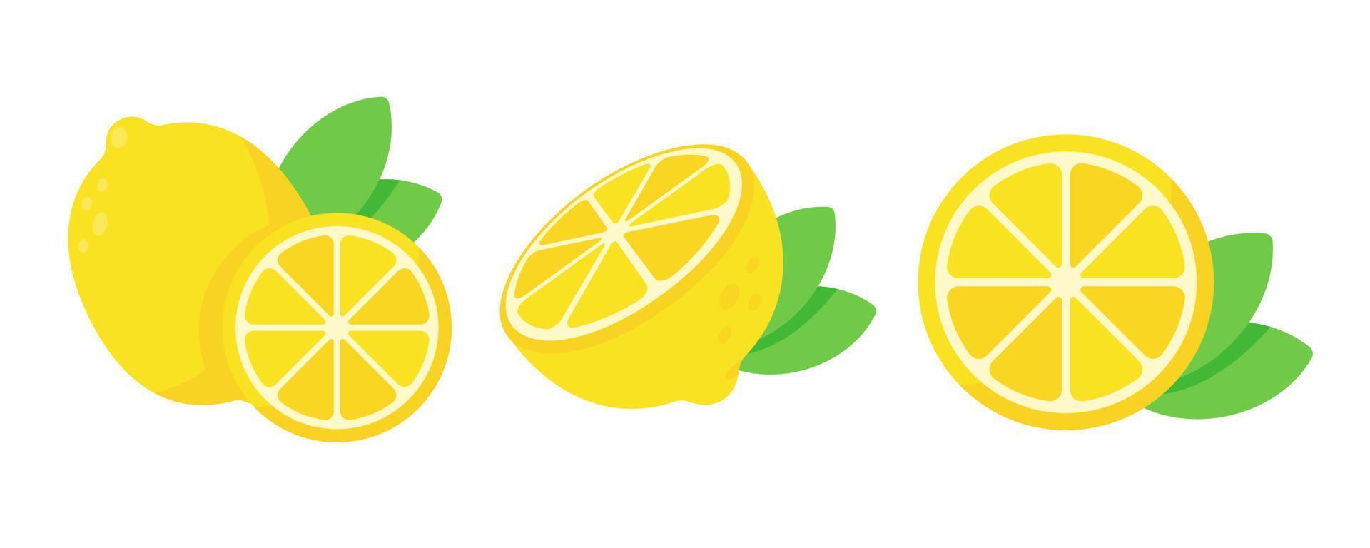 limón amarillo agrio para cocinar y jugo de limón vector