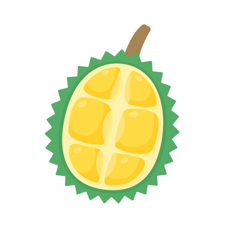 yellow durian with thorns delicious tropical fruit vector
