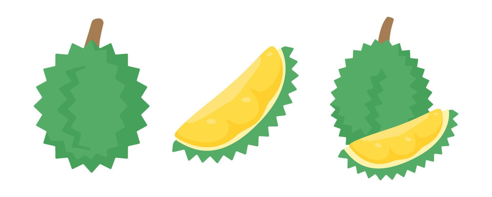 yellow durian with thorns delicious tropical fruit vector