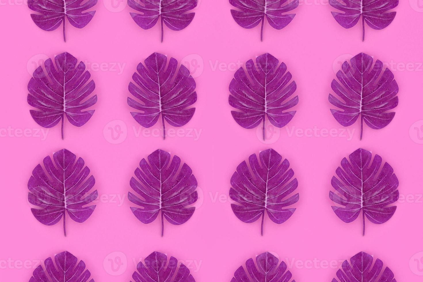 Tropical palm monstera leaves lies on a pastel colored paper. Nature summer concept pattern. Flat lay composition. Top view photo