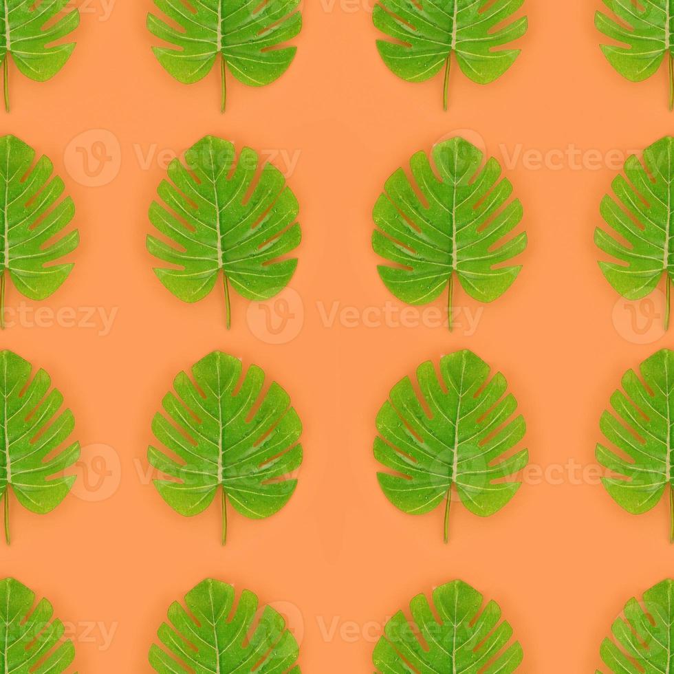 Tropical palm monstera leaves lies on a pastel colored paper. Nature summer concept pattern. Flat lay composition. Top view photo