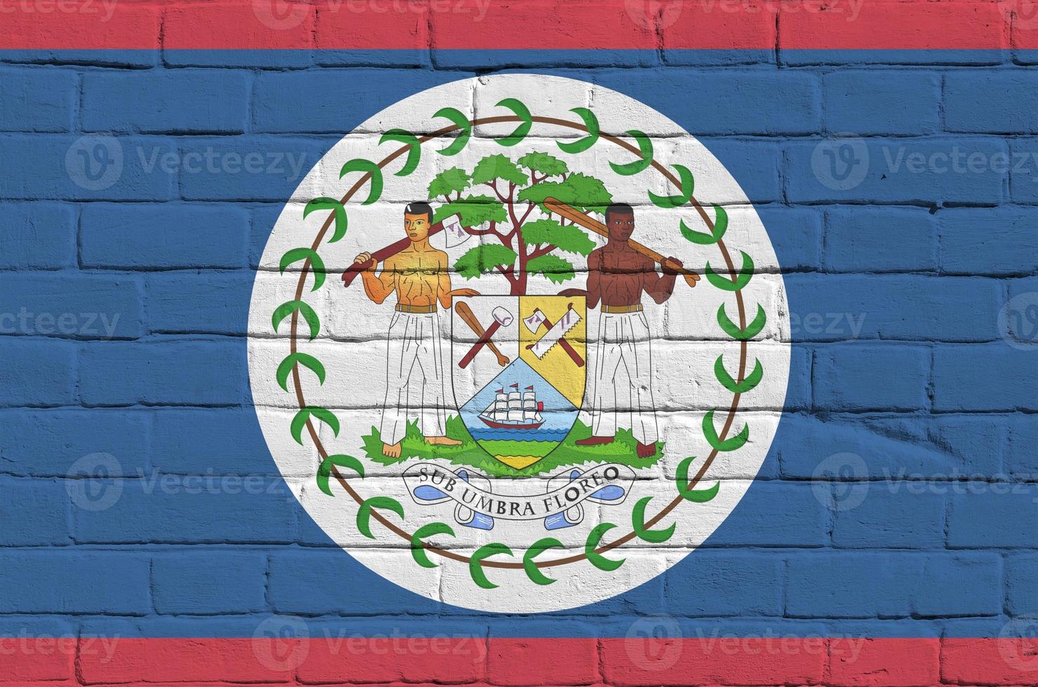 Belize flag depicted in paint colors on old brick wall. Textured banner on big brick wall masonry background photo